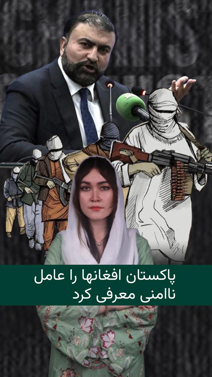 پاکستان افغانها را در حمله های اخیر متهم کرد