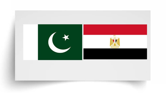 باكستان ومصر تطورات الأوضاع الإقليمية اتصال دبلوماسي