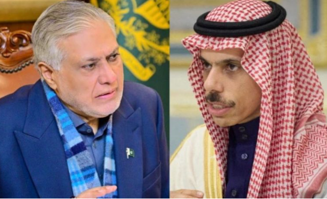 إسحاق دار وفيصل بن فرحان يبحثان خفض التصعيد في الشرق الأوسط