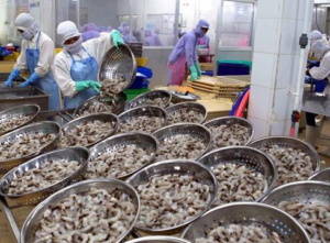 شحنات مأكولات بحرية للتصدير من باكستان