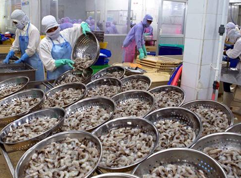 شحنات مأكولات بحرية للتصدير من باكستان