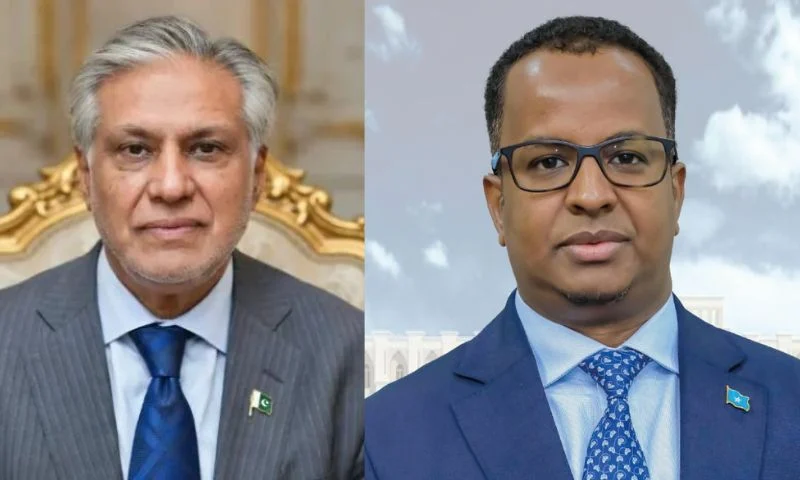 لقاء دبلوماسي بين باكستان والصومال حول قضية البحارة المحتجزين Pakistani Hostages Somalia
