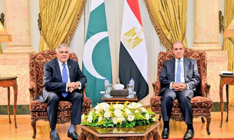 إسحاق دار ووزير الخارجية المصري في القاهرة Pakistan Egypt Foreign Ministers Meeting