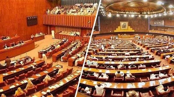 البرلمان الباكستاني يقر لجنة مشتركة للتحقيق في حادثة مستشفى بيمز