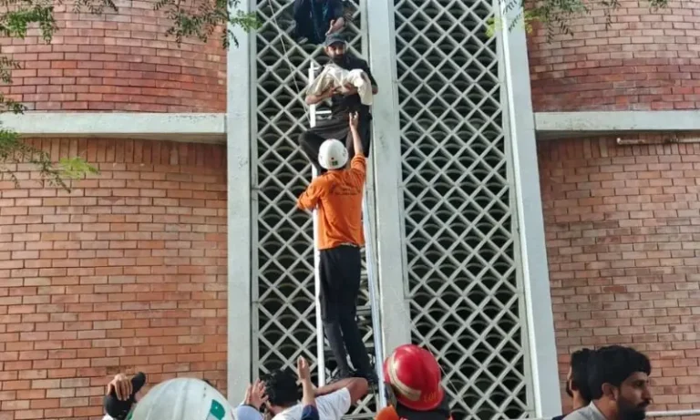 تقرير تحقيق حريق پمز يكشف أسباب وفاة 14 مولودا
